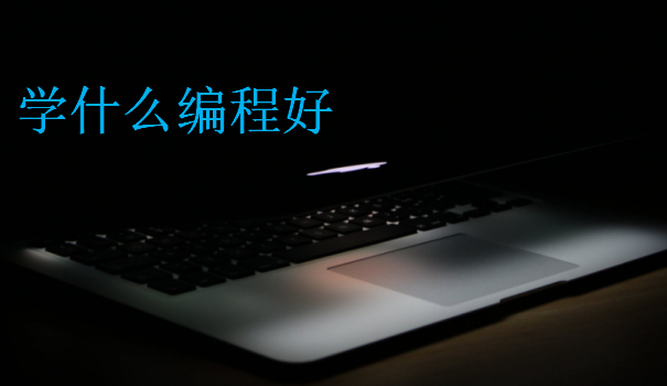 學(xué)什么編程好