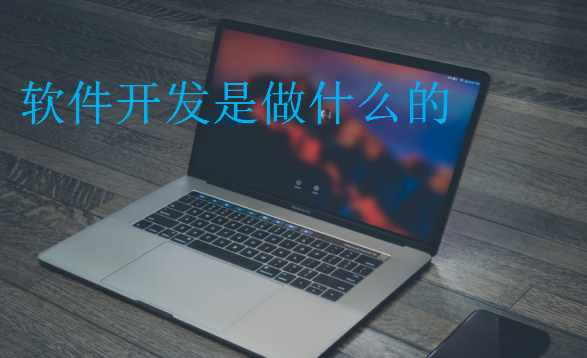 軟件開(kāi)發(fā)是做什么的