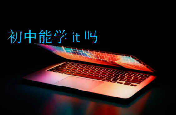初中能學it嗎