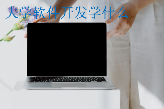 大學(xué)軟件開發(fā)學(xué)什么