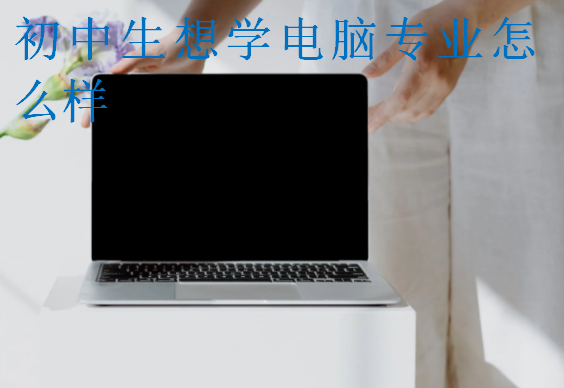 初中生想學(xué)電腦專業(yè)怎么樣