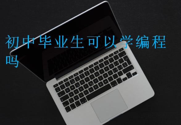 初中畢業(yè)生可以學編程嗎