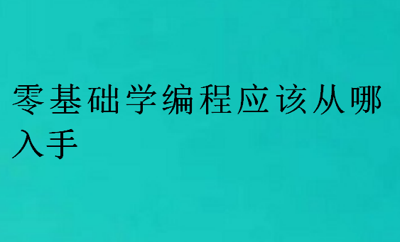 零基礎(chǔ)學(xué)編程應(yīng)該從哪入手