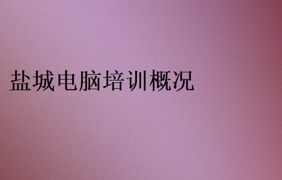 鹽城電腦培訓(xùn)概況