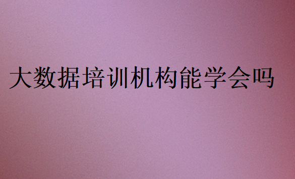 大數(shù)據(jù)培訓機構能學會嗎
